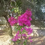 بيت للعطل Margaret's House Livathos (Kefalonia)