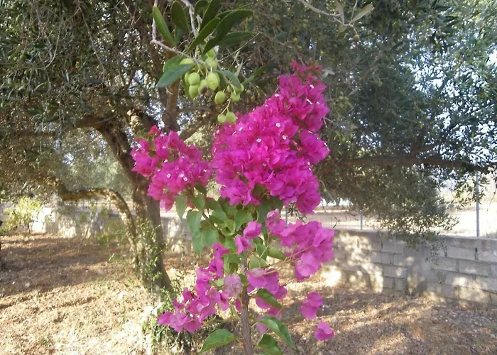 Σπίτι διακοπών Margaret's House Livathos (Kefalonia)